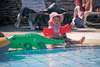 Fortuna Island Hotel 